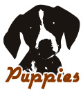 puppies logo